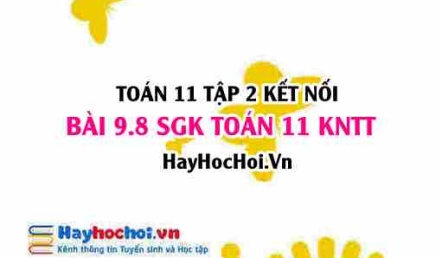 Bài 9.8 SGK Toán 11 Tập 2 Kết nối tri thức